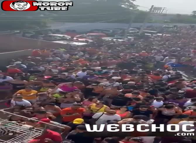 Video :At a rally, a bull provokes panic